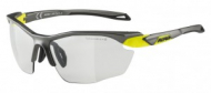 Slunecní brýle Alpina Twist Five HR V